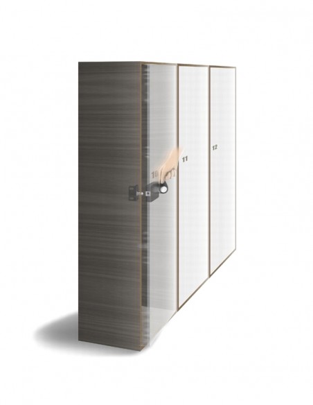 <p>Incuietoare standalone RFID pentru vestiare PS-SOLO-GYM</p>